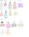 character_sheet_new.png