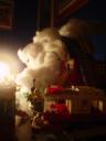 dsc04580.jpg