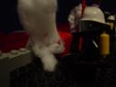 dsc03698.jpg