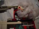 dsc05029.jpg