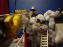 dsc03584.jpg