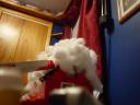 dsc03425.jpg