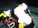 dsc01427.jpg