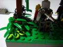 dsc00433.jpg