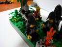 dsc00435.jpg