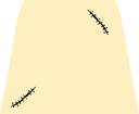 noah_moloid_torsoback.bmp