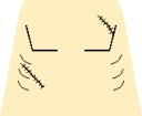 noah_moloid_torsofront.bmp