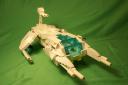 Frogspace