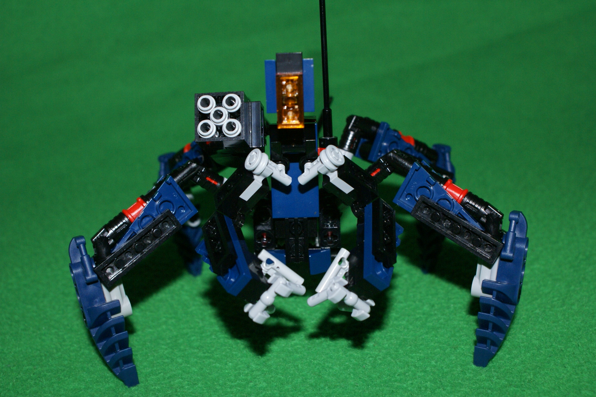 5.jpg
