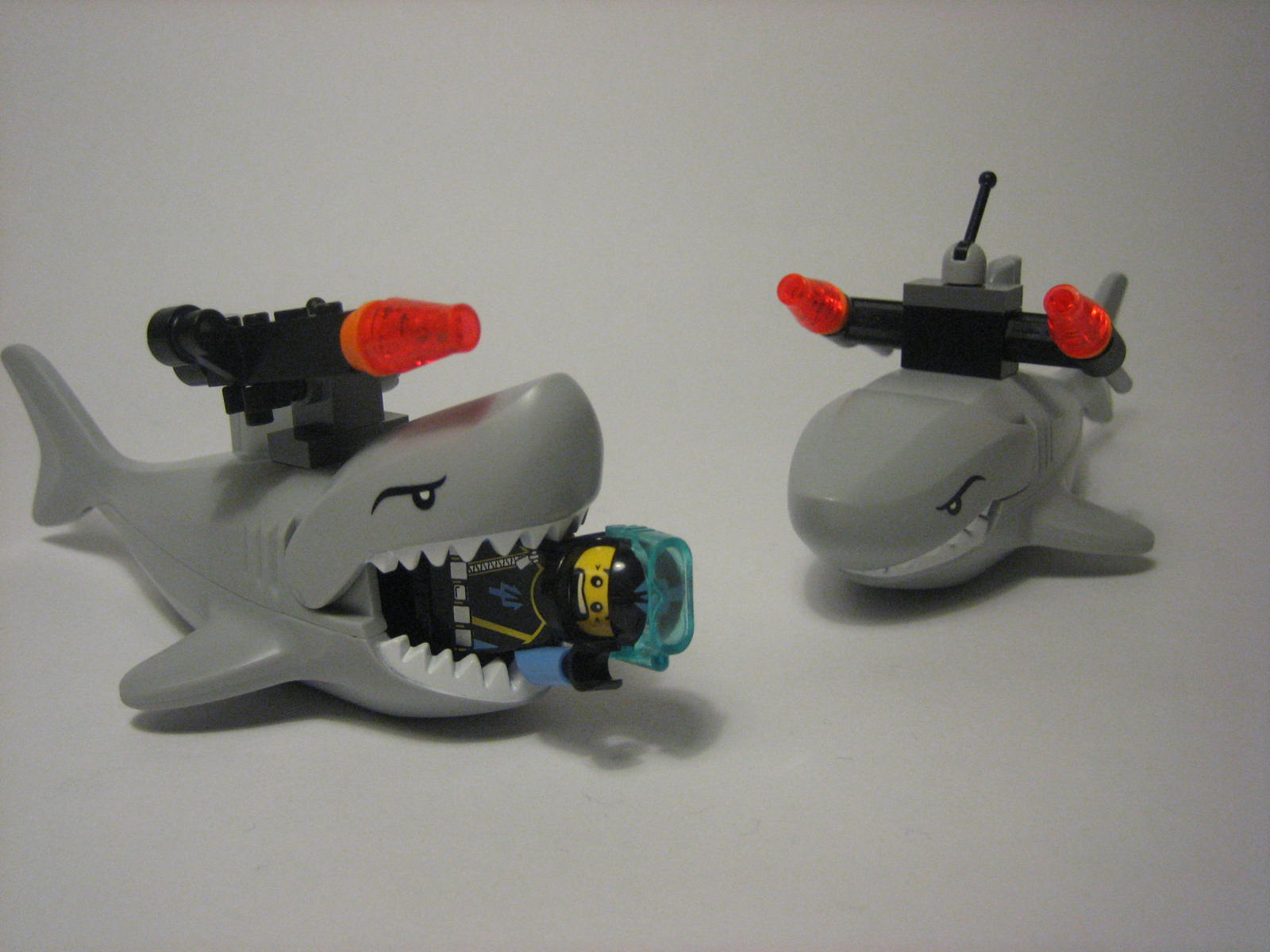 1_diver_nomz.jpg