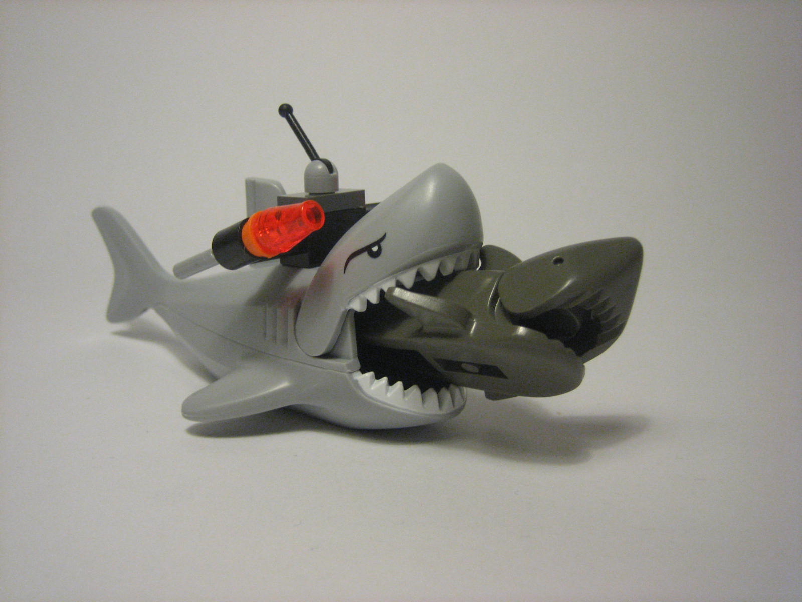 2_shark_nomz.jpg