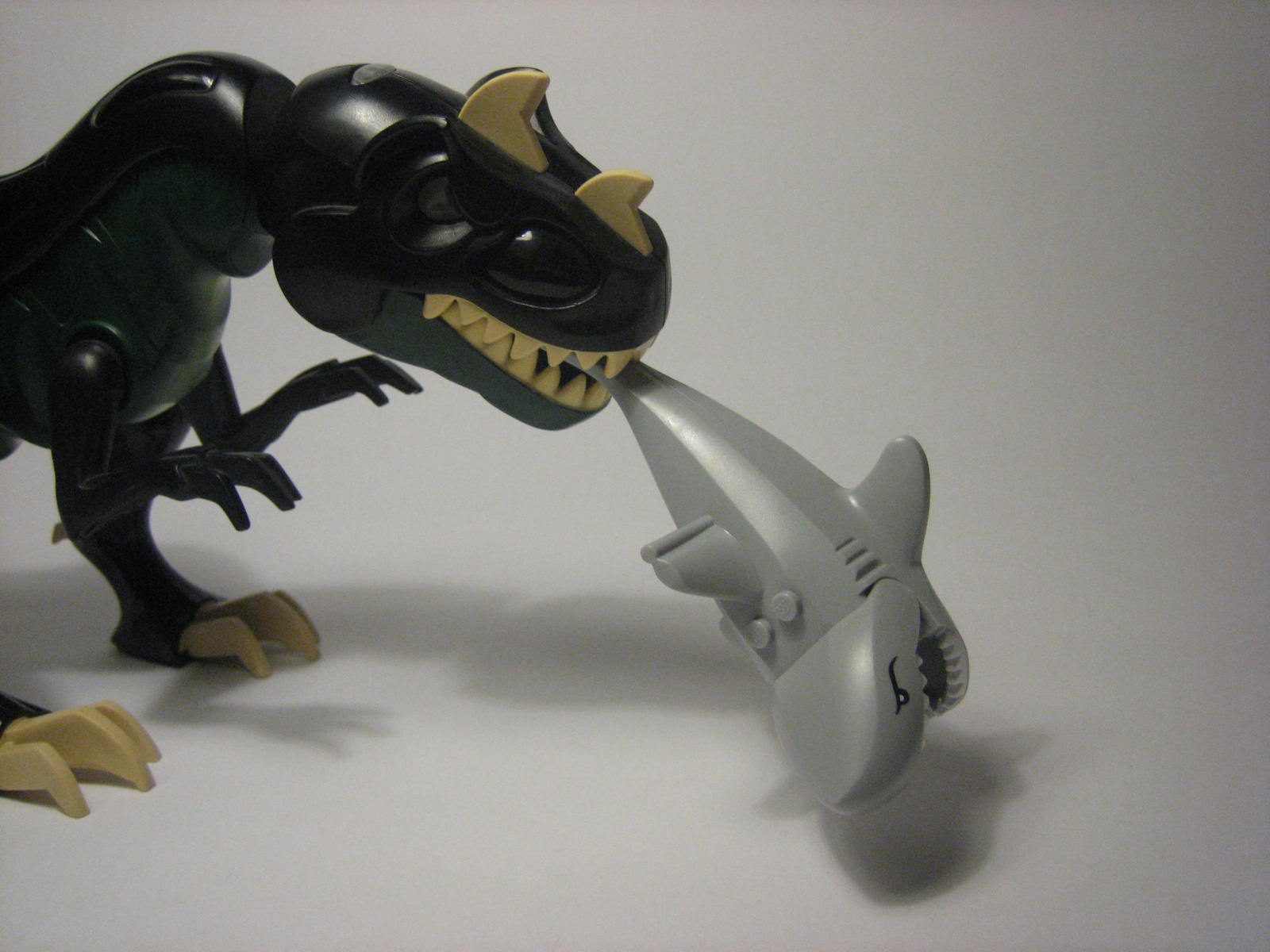 8_bigger_t-rex_nomz_shark.jpg