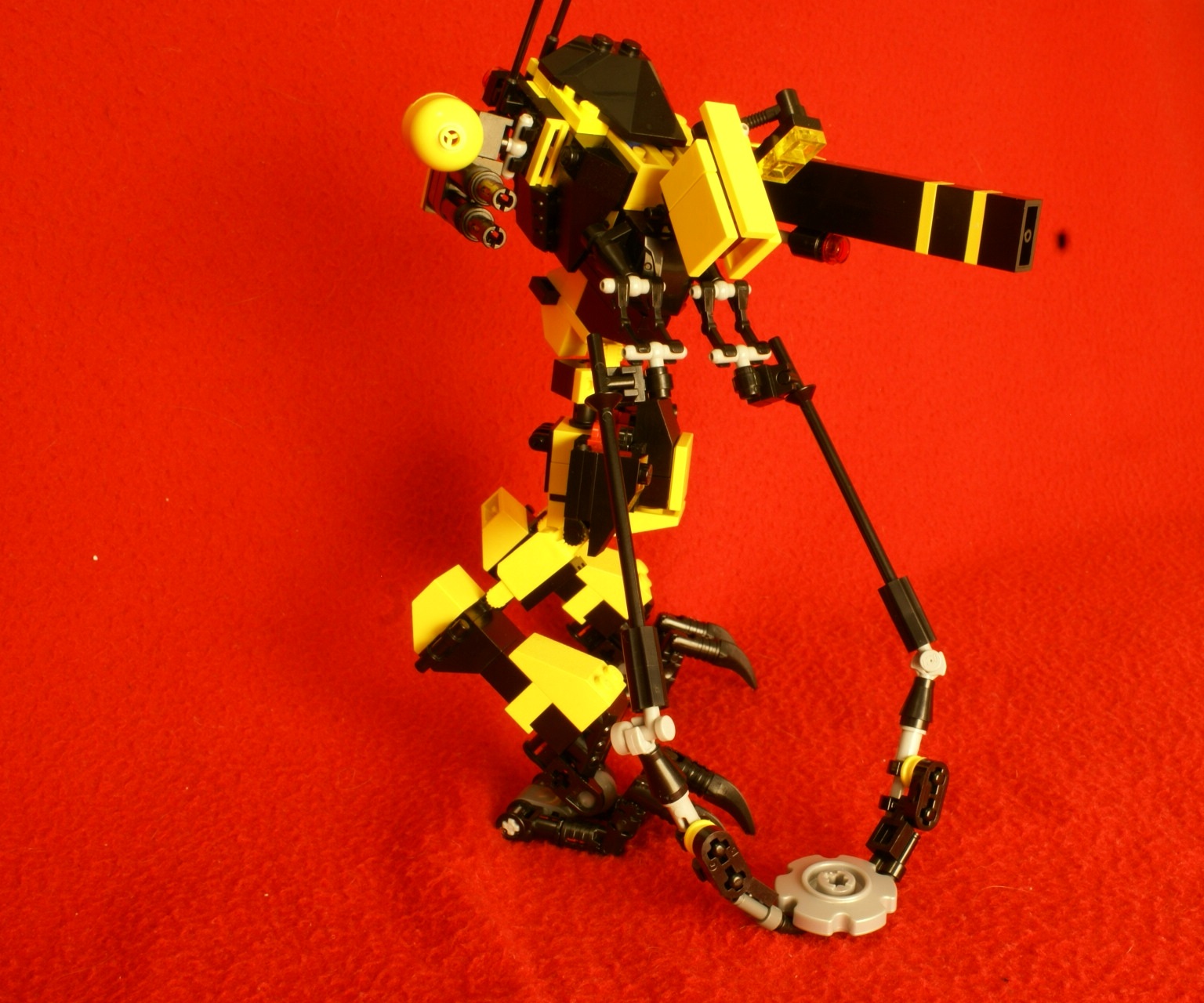 9c.jpg