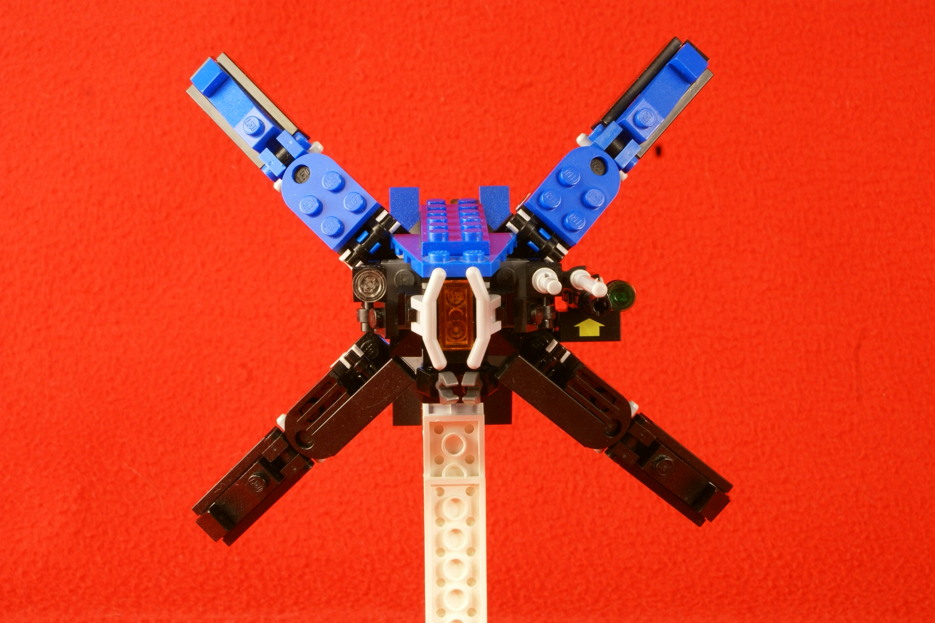 8a.jpg