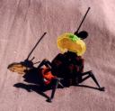 spypod_2.jpg