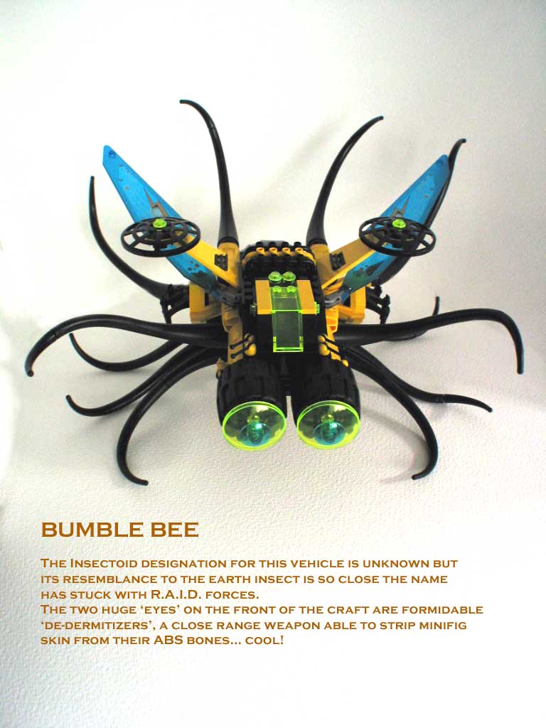 01-bumble-bee.jpg