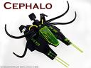 Cephalo