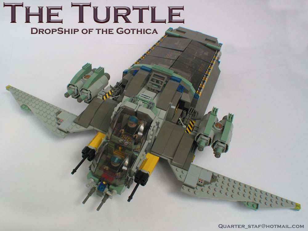 00-turtle-splash.jpg