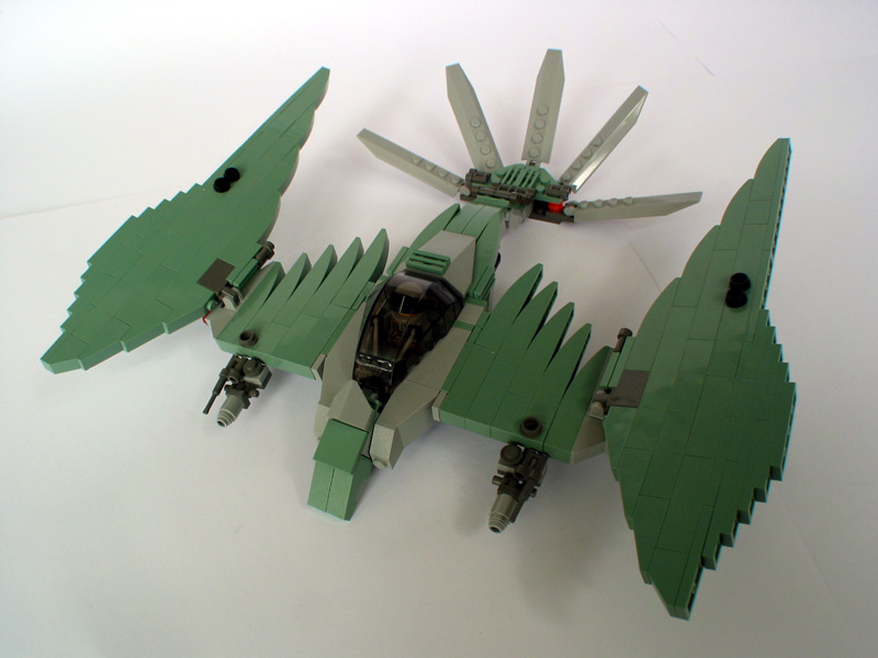 04-wings-open.jpg