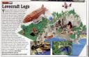 05-the-article.jpg