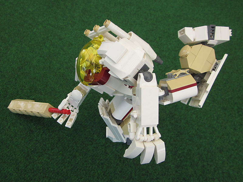 05-cricket-is.jpg