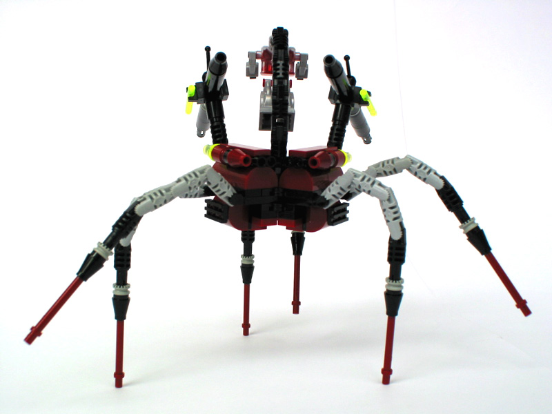06-from-behind.jpg