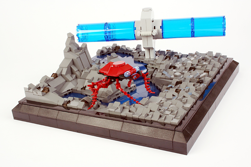 15-with-bug.jpg