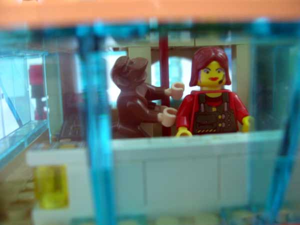 15-captain-and-ships-monkey.jpg