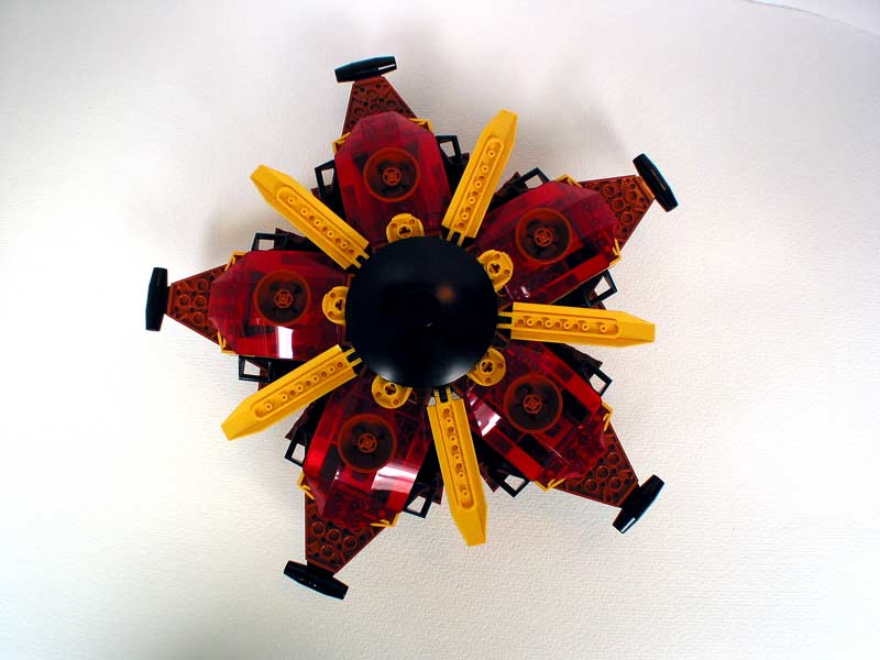 03-star-flower-underside.jpg