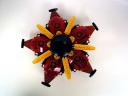 03-star-flower-underside.jpg