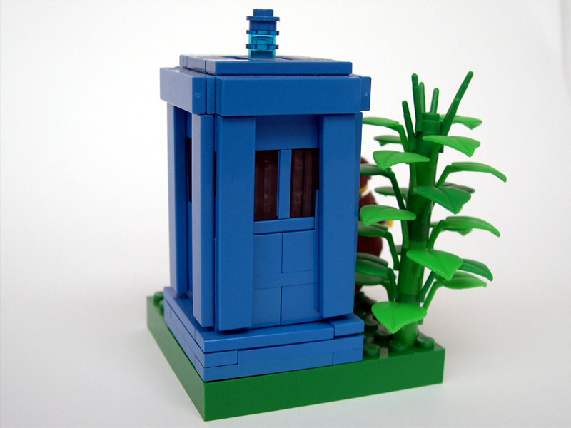 93-tradis-and-plant.jpg