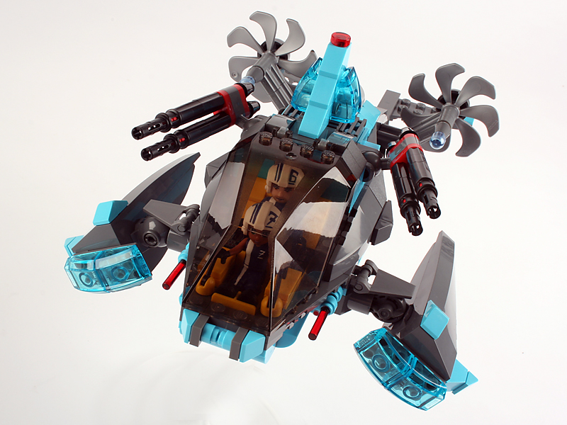 03-bottlenose.jpg