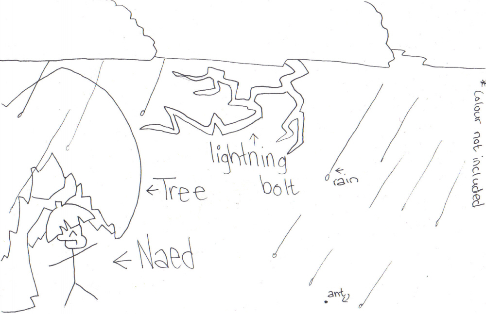 lightningvoyager.jpg