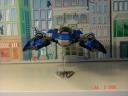 dsc00758.jpg