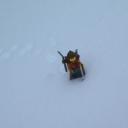 snowjourney.bmp