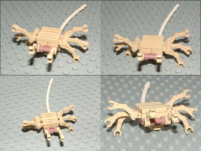 facehugger.jpg