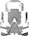 kaukau.gif