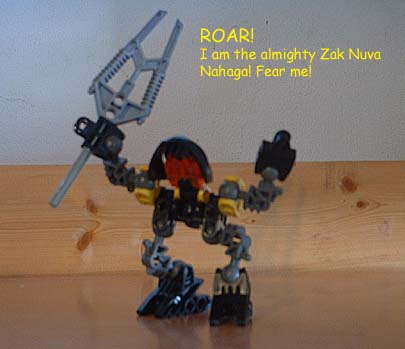 thenahaga04.jpg