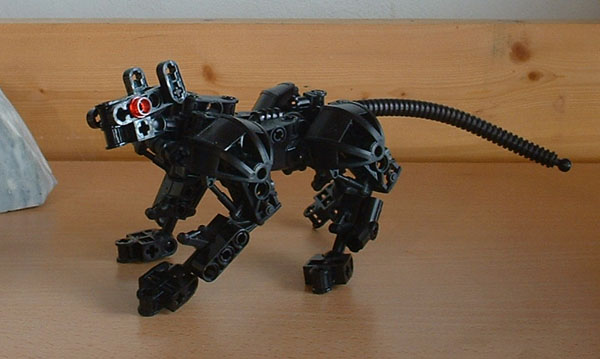 ngeru01.jpg