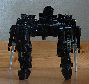 dlv08.jpg