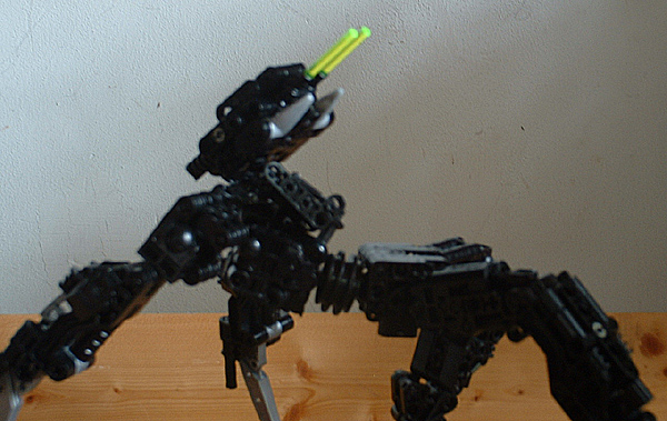 dlv09.jpg