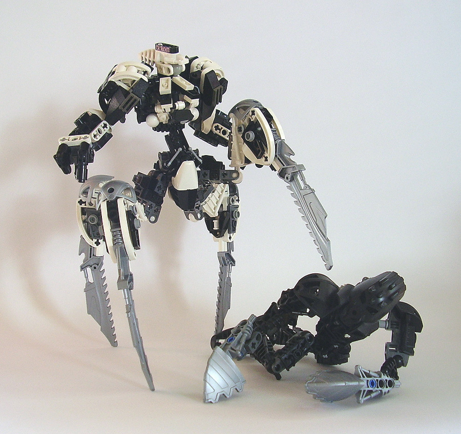 sentinel06.jpg
