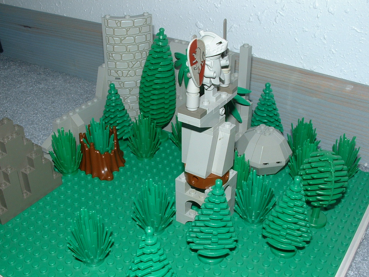 dscf0246.jpg