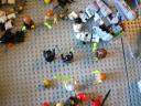 dsc00489.jpg