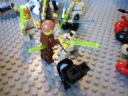 dsc00494.jpg