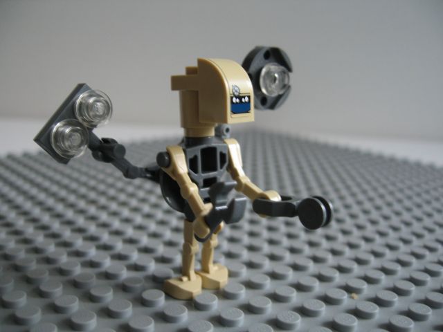 8095-12.jpg