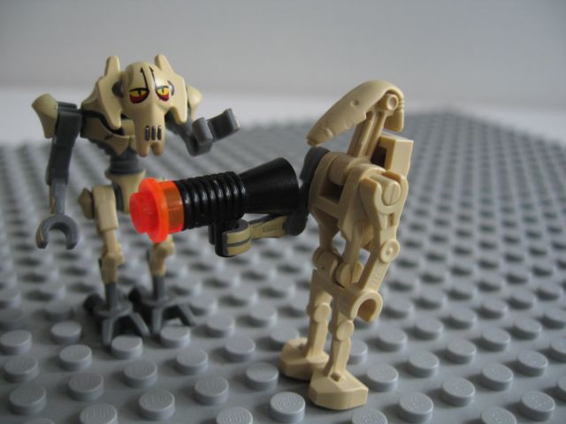 8095-17.jpg