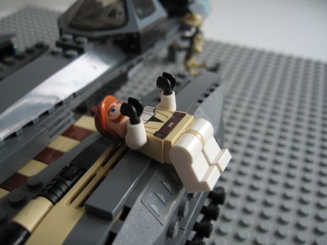 8095-21.jpg