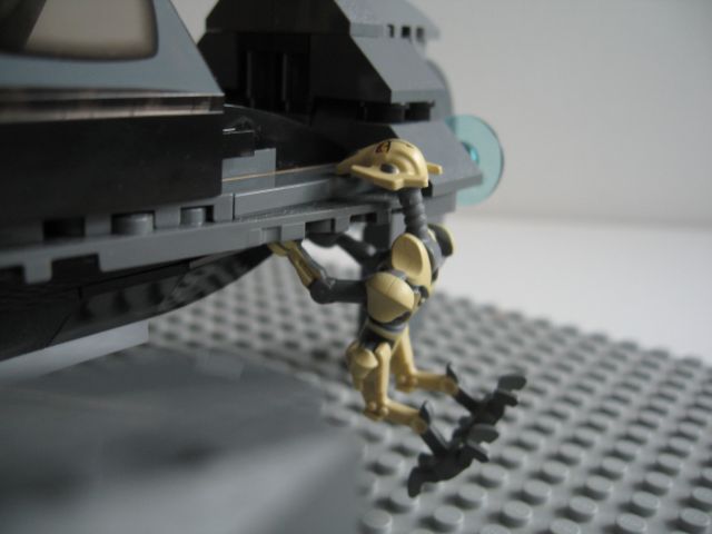 8095-23.jpg