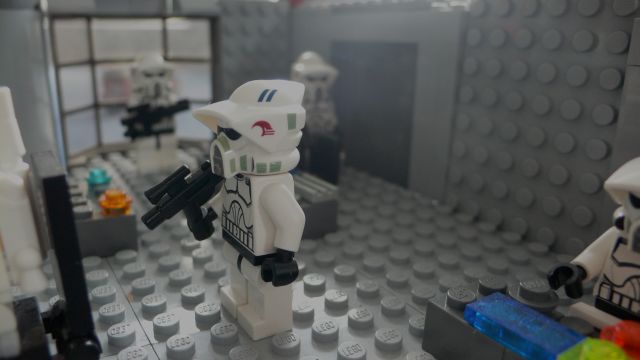 b-arf-27.jpg
